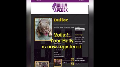 bullypedex login.